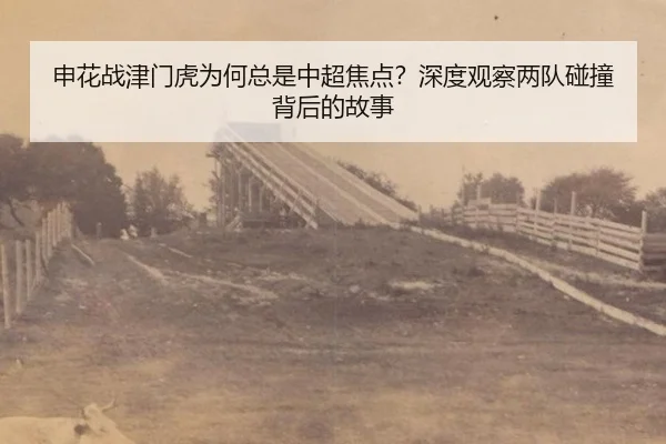 申花战津门虎为何总是中超焦点？深度观察两队碰撞背后的故事